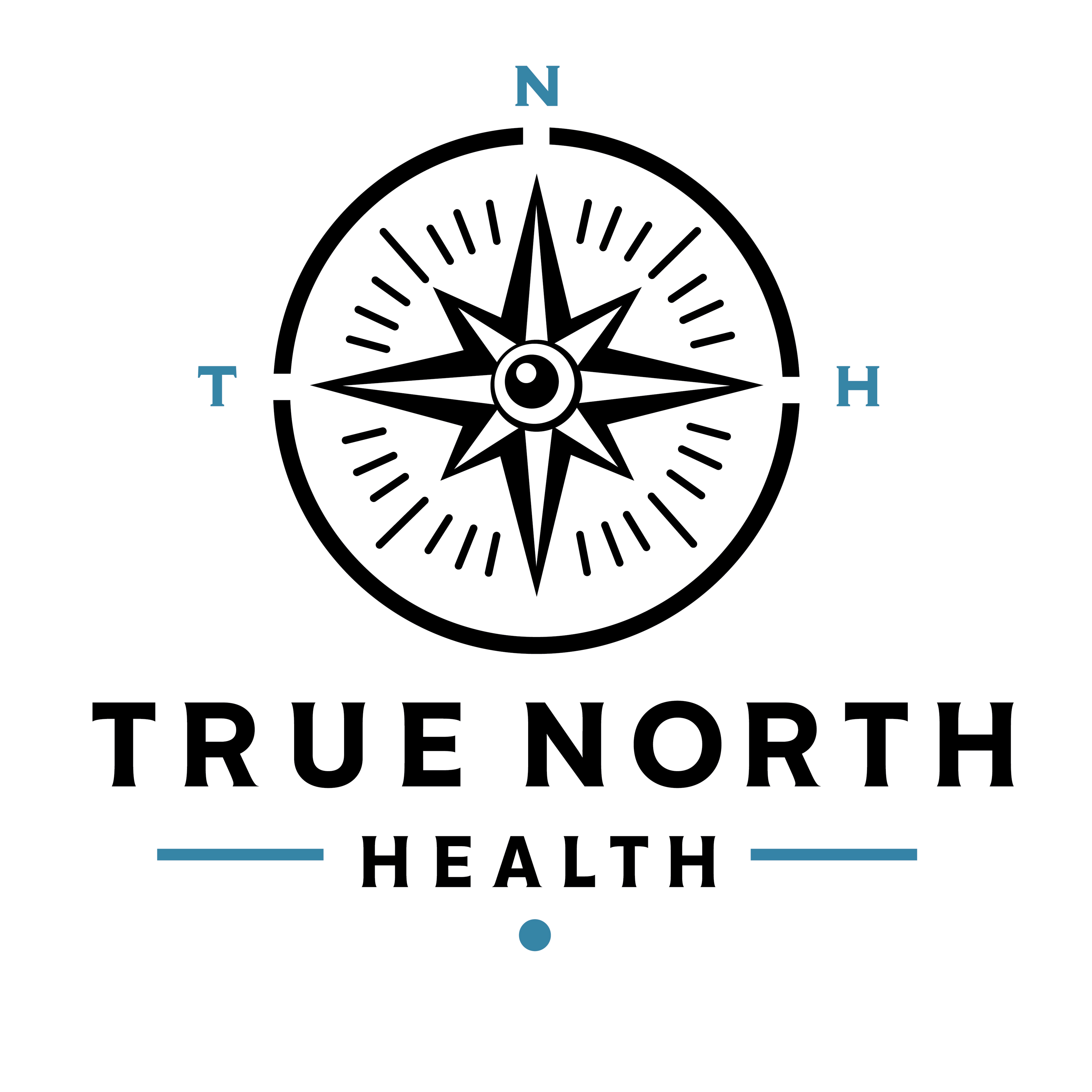 True north